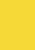 095 Yellow