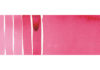 Quinacridone Pink 095 trasparente resistente resistenza alla luce molto buona non granula GP 2