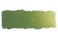 525 Verde oliva giallastro semicoprente alta resistenza alla luce GP 2